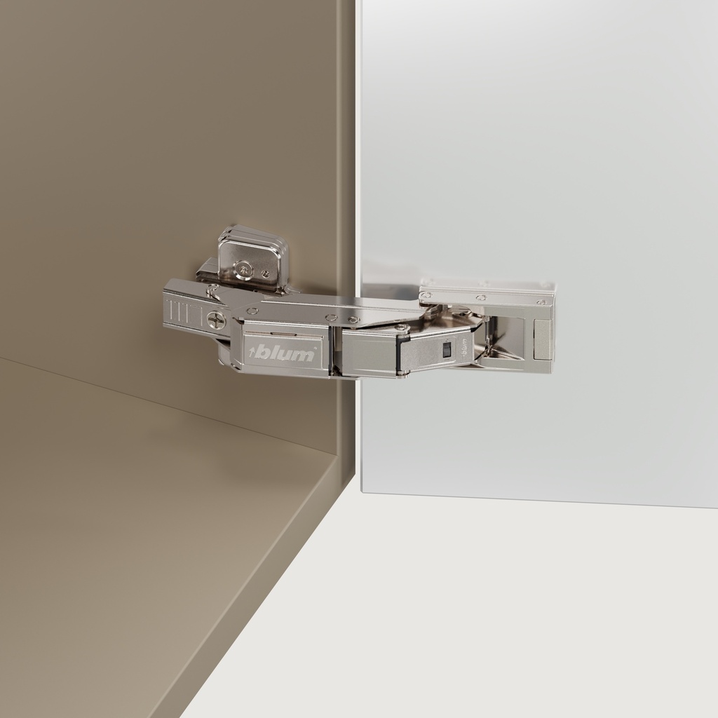 Angled Hinge — Cabinet Application