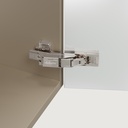 Angled Hinge — Cabinet Application