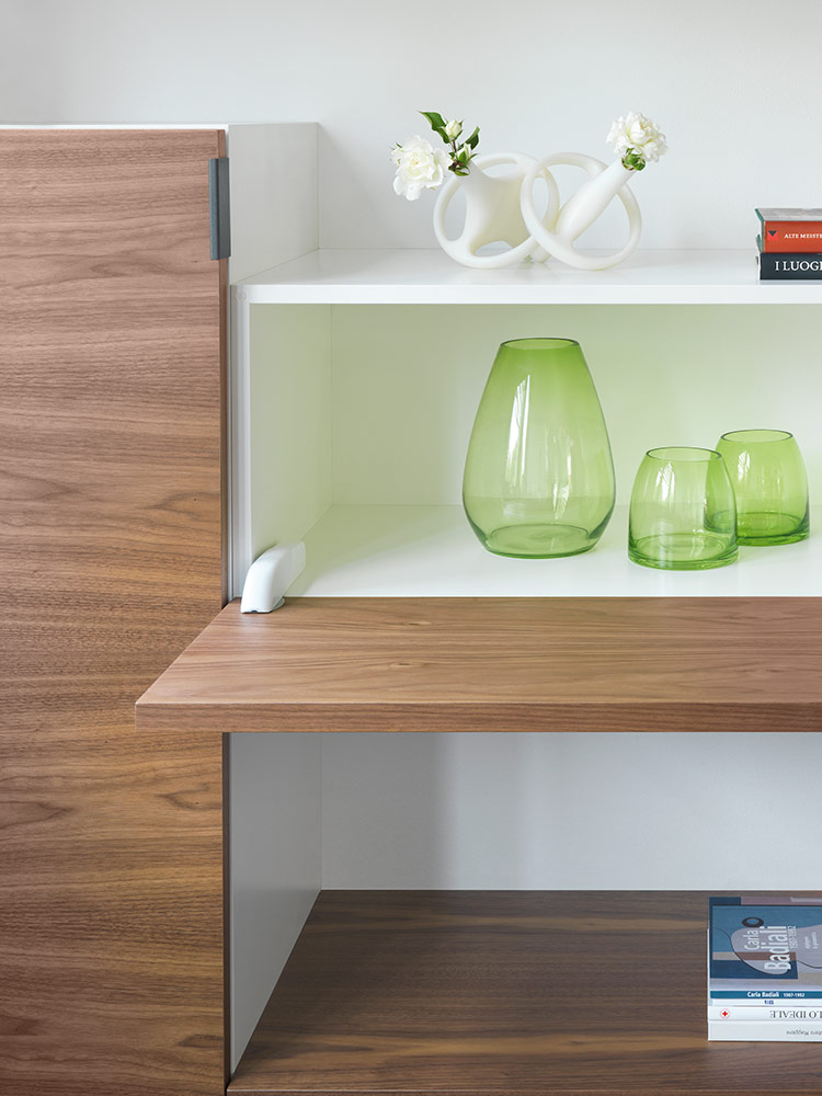 [FRBKFEXWSN9] Salice Pacta Flap Door System (Light, Self Close)