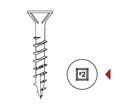 Flat head Screws with nibs Type 17 MAXX Point